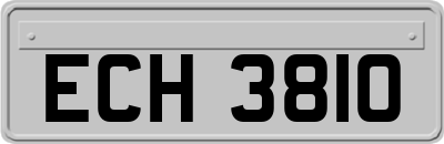 ECH3810