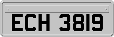 ECH3819
