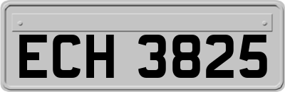 ECH3825