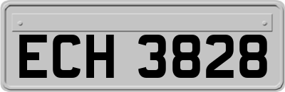 ECH3828