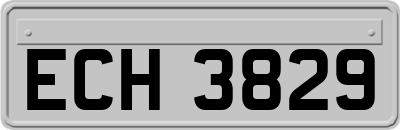 ECH3829