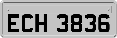 ECH3836