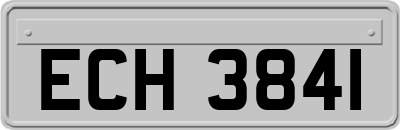 ECH3841