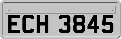 ECH3845