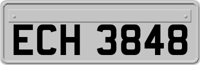 ECH3848