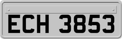 ECH3853