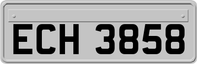 ECH3858