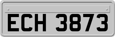 ECH3873