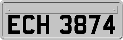 ECH3874