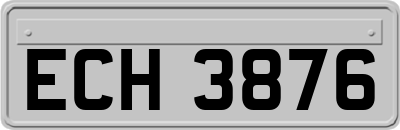 ECH3876