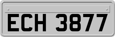 ECH3877