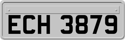 ECH3879