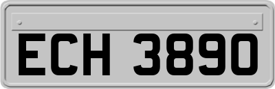 ECH3890