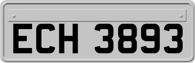 ECH3893