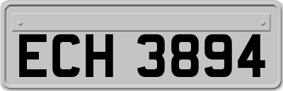 ECH3894