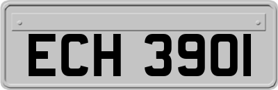 ECH3901
