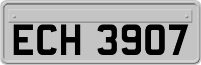 ECH3907