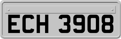 ECH3908