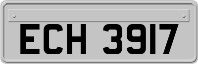ECH3917