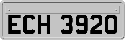 ECH3920