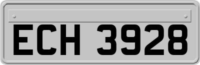 ECH3928