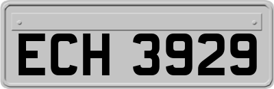 ECH3929