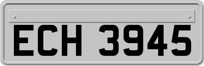 ECH3945