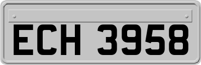 ECH3958