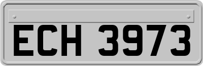 ECH3973