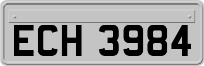 ECH3984