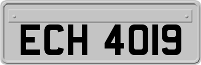 ECH4019