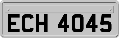 ECH4045