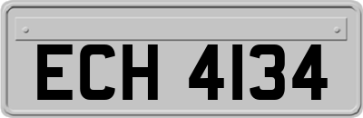ECH4134