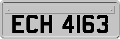 ECH4163