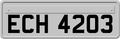ECH4203