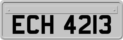 ECH4213