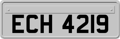 ECH4219