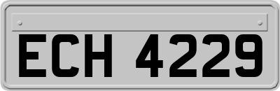 ECH4229
