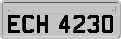 ECH4230