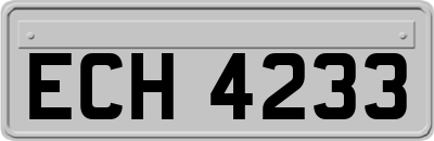 ECH4233