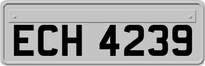 ECH4239
