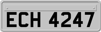 ECH4247