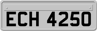 ECH4250
