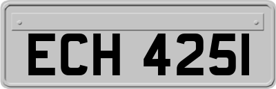 ECH4251
