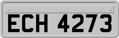 ECH4273