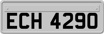 ECH4290