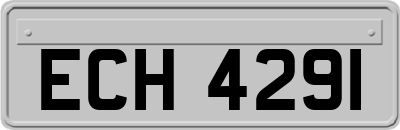 ECH4291