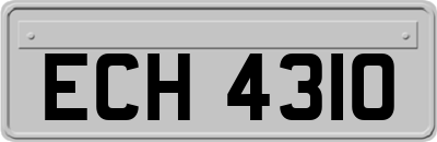 ECH4310