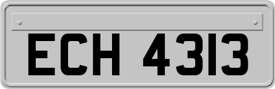 ECH4313
