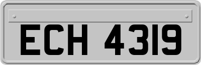 ECH4319